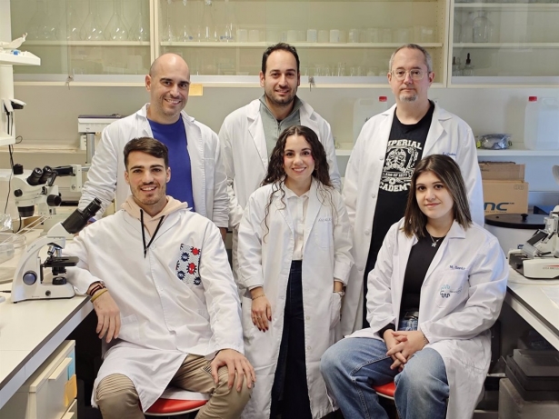 Científicos investigan la comunicación entre el sistema inmunitario y las neuronas en el dolor postoperatorio (UNIVERSIDAD DE GRANADA)