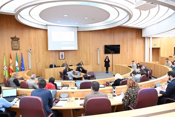 Pleno de Diputación (DIPGRA)