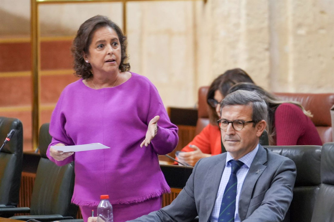 La consejero de Sostenibilidad, y Medio Ambiente, Catalina García (FRANCISCO J. OLMO / EUROPA PRESS)