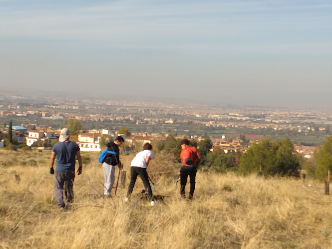 (AYUNTAMIENTO LA ZUBIA)