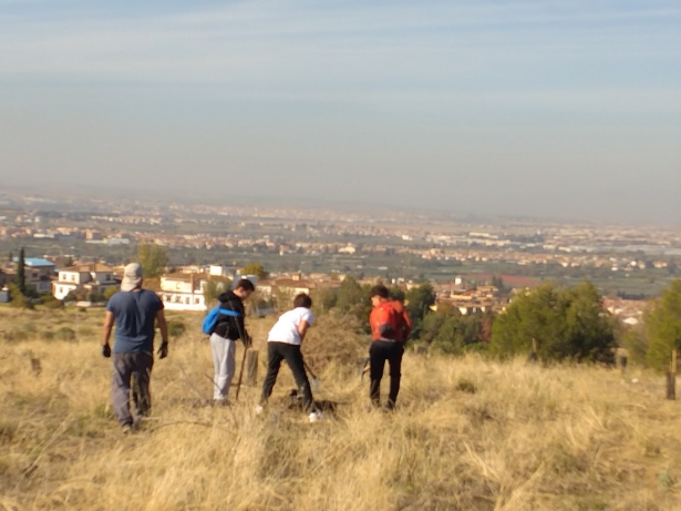 (AYUNTAMIENTO LA ZUBIA)