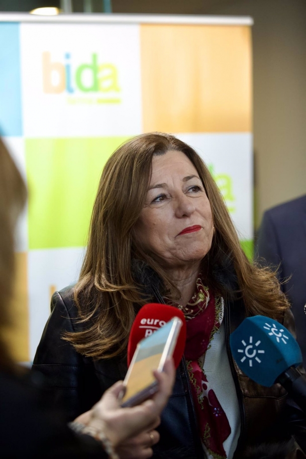 La consejera de Desarrollo Educativo y Formación Profesional, María del Carmen Castillo, en Santa Fe (ESTHER LOBATO/EUROPA PRESS) La consejera de Desarrollo Educativo y Formación Profesional, María del Carmen Castillo, en Santa Fe (ESTHER LOBATO/EUROPA PRESS)