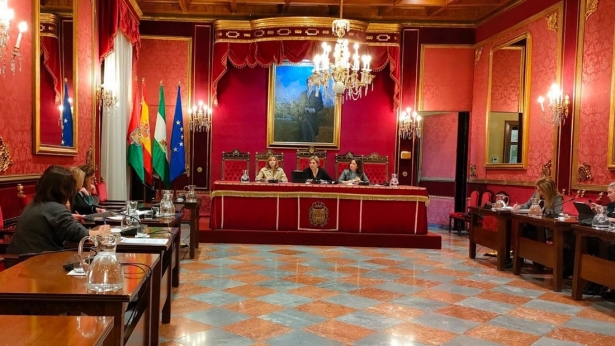 Comisión de Protección Ciudadana y Movilidad del Ayuntamiento de Granada (EUROPA PRESS) Comisión de Protección Ciudadana y Movilidad del Ayuntamiento de Granada (EUROPA PRESS)