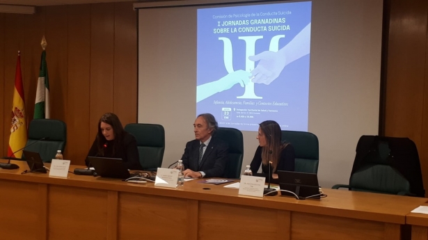 Imagen de la jornada (COPAO) Imagen de la jornada (COPAO)