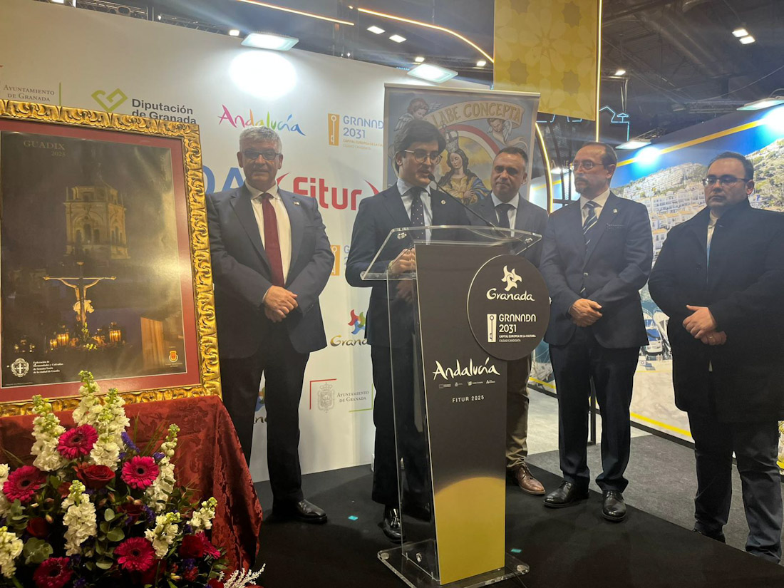 (AYUNTAMIENTO GUADIX)