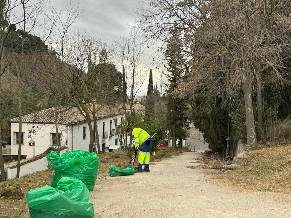 Tareas de limpieza (AYTO. GRANADA)