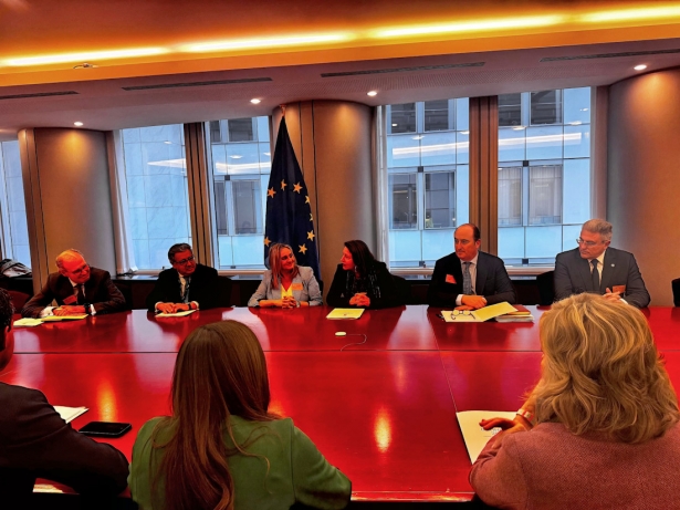 Presentación de la candidatura de Granada a la Capitalidad Cultural Europea 2031 en Bruselas (AYTO. GRANADA)