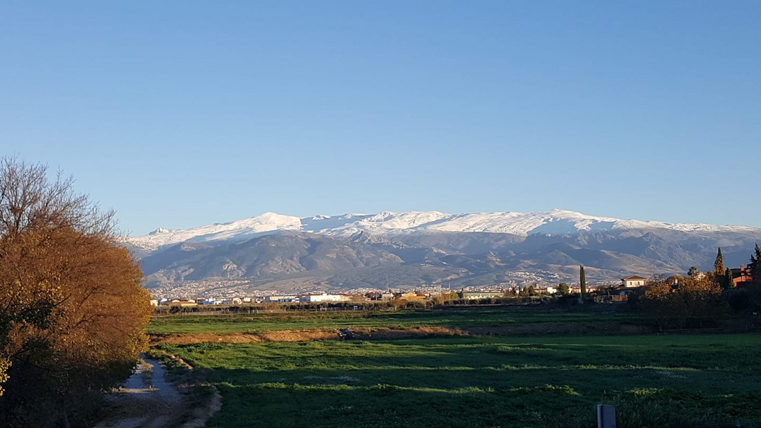 (AYTO. CÚLLAR VEGA)