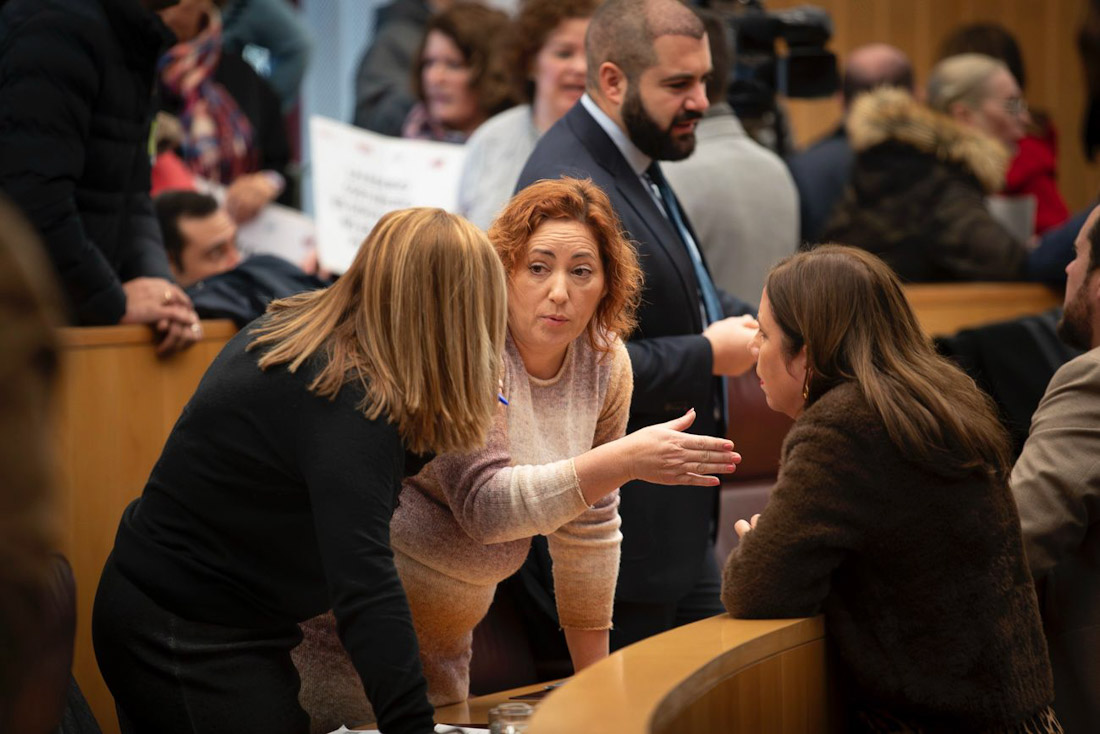 Mari Carmen Pérez en el pleno de Diputación (ANTONIO L. JUÁREZ)