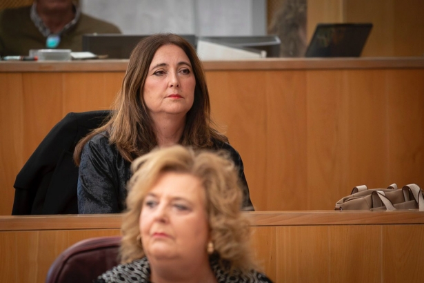 Fátima Gómez durante el pleno de Diputación (ANTONIO L. JUÁREZ)