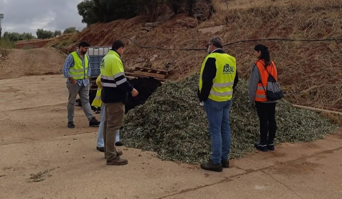 Trabajos del proyecto Al-Compost (UGR)