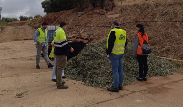 Trabajos del proyecto Al-Compost (UGR)