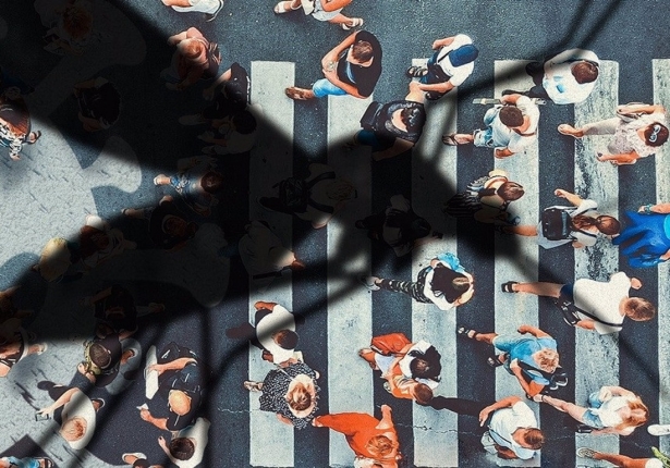 MOOC sobre mosquitos, enfermedades de transmisión vectorial y cambio global (CSIC)