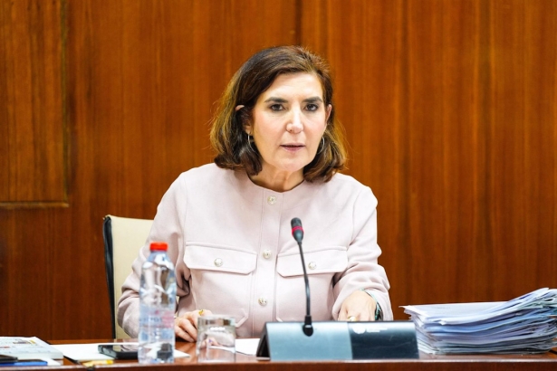 La consejera de Empleo, Empresa y Trabajo Autónomo, Rocío Blanco, en comisión parlamentaria a 12 de febrero de 2025. (JOAQUÍN CORCHERO/PARLAMENTO DE ANDALUCÍA)