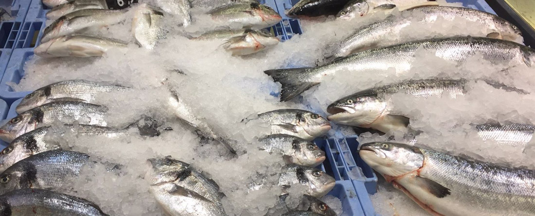 Pescado fresco, en imagen de archivo (UPCT)