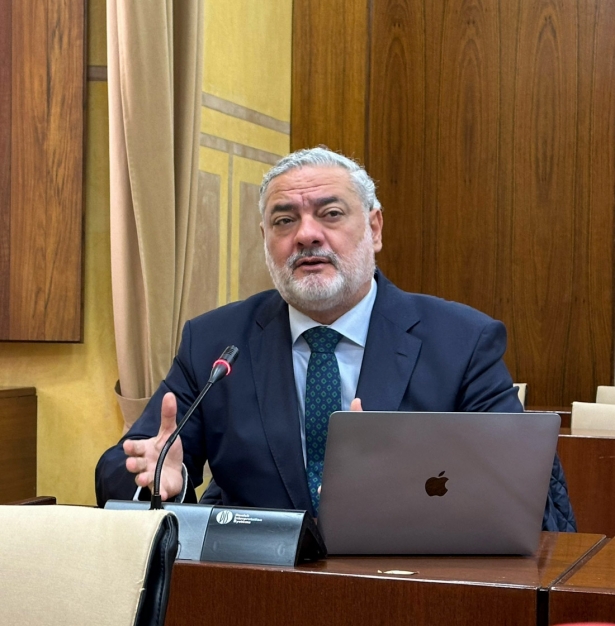 El parlamentario andaluz del PP,  Pablo García (PP)