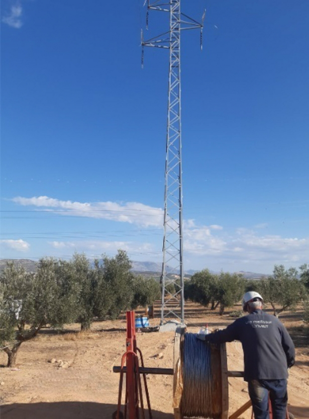Endesa refuerza la red eléctrica de la comarca de los Montes Orientales (ENDESA)