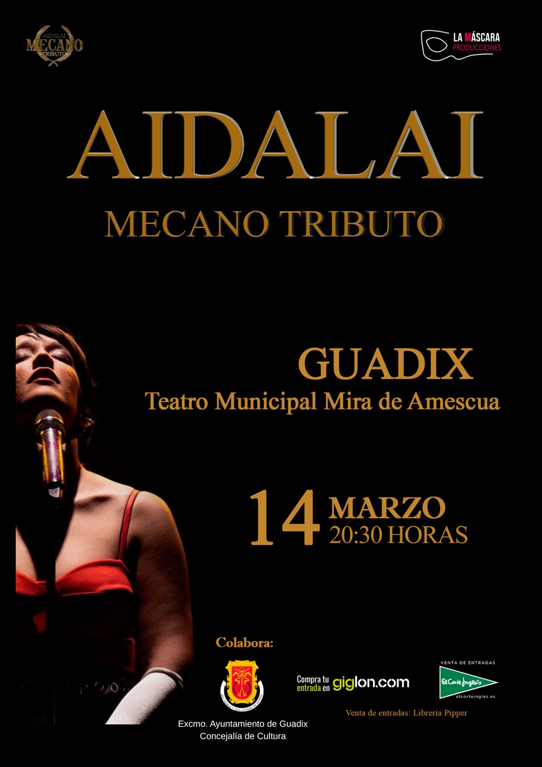 (AYUNTAMIENTO GUADIX)