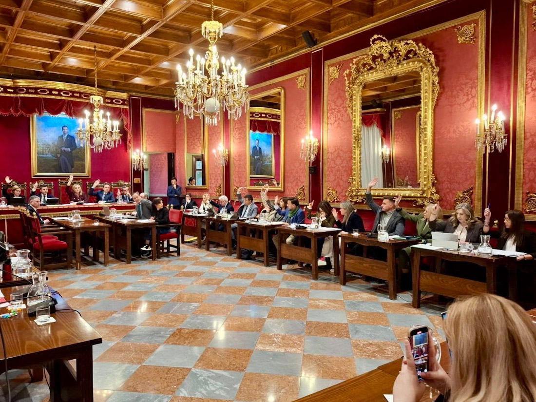 Pleno del Ayuntamiento de Granada (VOX)
