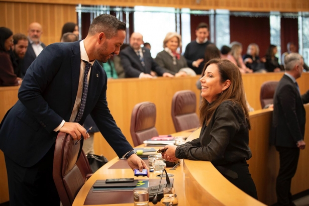 Pleno de la Diputación de Granada (ANTONIO L. JUÁREZ)