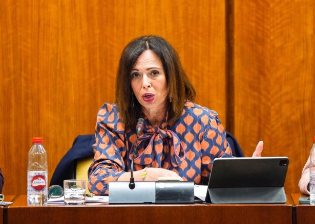 La consejera de Fomento, Articulación del Territorio y Vivienda, Rocío Díaz, en comisión parlamentaria. (JOAQUÍN CORCHERO - PARLAMENTO DE ANDALUCÍA)