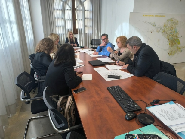 Mesa técnica de trabajo (AYUNTAMIENTO GRANADA) Mesa técnica de trabajo (AYUNTAMIENTO GRANADA)