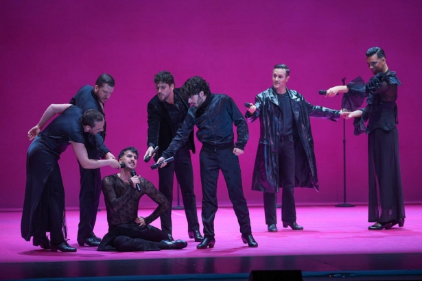 Flamenco en Nueva York (DIPGRA)