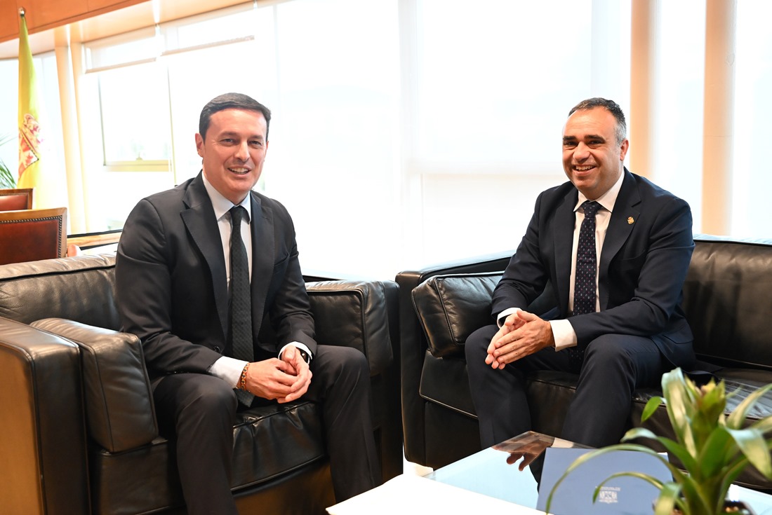 Imagen de la reunión (DIPGRA)