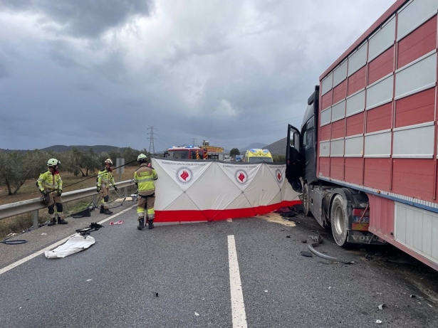 Bomberos de la Diputación de Granada del Parque de Iznalloz trabajaron en la zona del accidente (BOMBEROS DE DIPUTACIÓN)