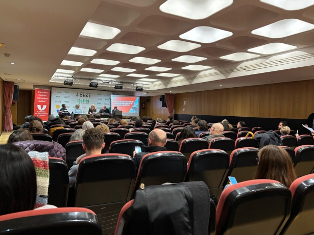 (PLATAFORMA DEL VOLUNTARIADO)