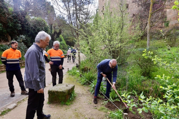 El director del Patronato, Rodrigo Ruiz-Jiménez, ha sido el encargado de plantar un cerezos de Santa Lucía (JUNTA DE ANDALUCÍA)