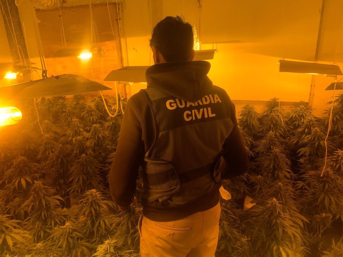 Imagen de archivo de un cultivo de marihuana en Pinos Puente (GUARDIA CIVIL)