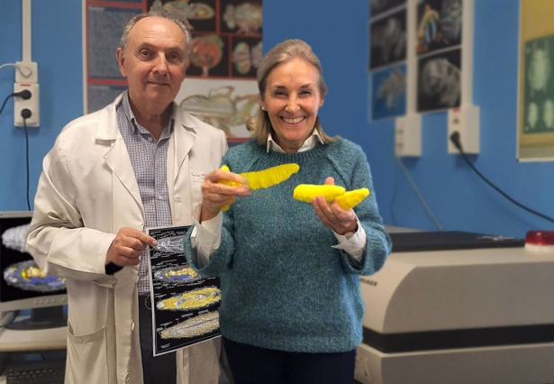 El catedrático emérito de Zoología de la Universidad de Granada Javier Alba-Tercedor y la catedrática María Ángeles Marcos García, de la Universidad de Alicante (UGR)