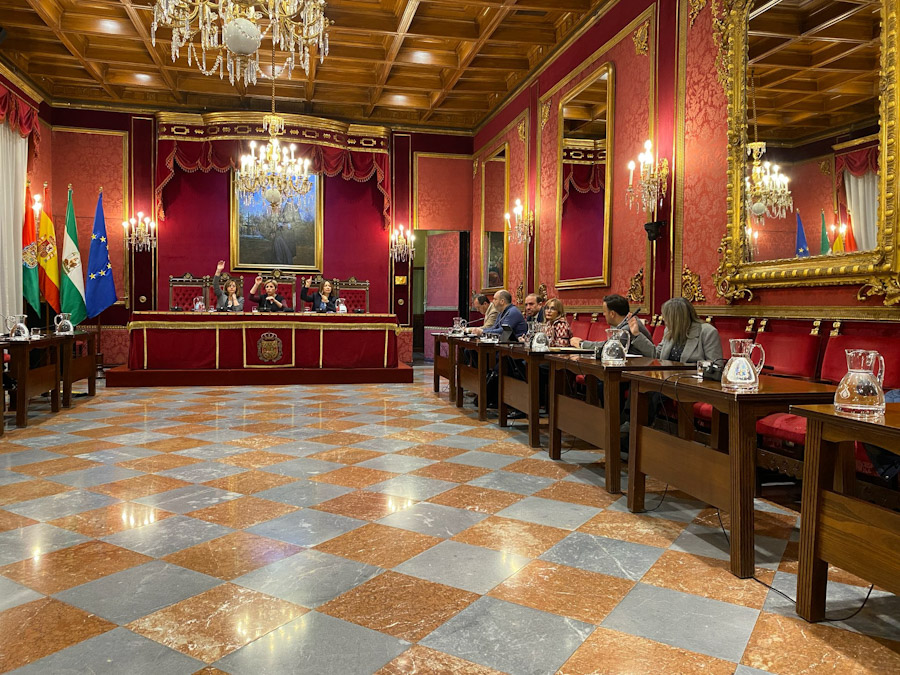 Comisión de política social (AYTO. GRANADA)