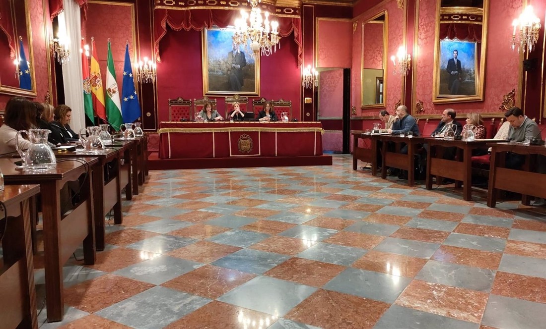 Comisión extraordinaria de Protección Ciudadana (EUROPA PRESS)