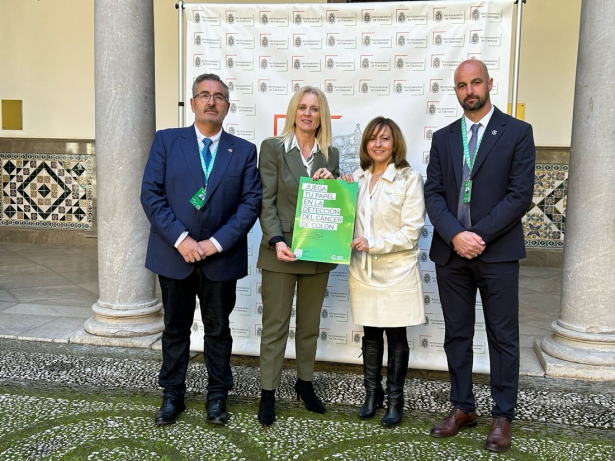 Presentación del cartel (DIPGRA) Presentación del cartel (DIPGRA)