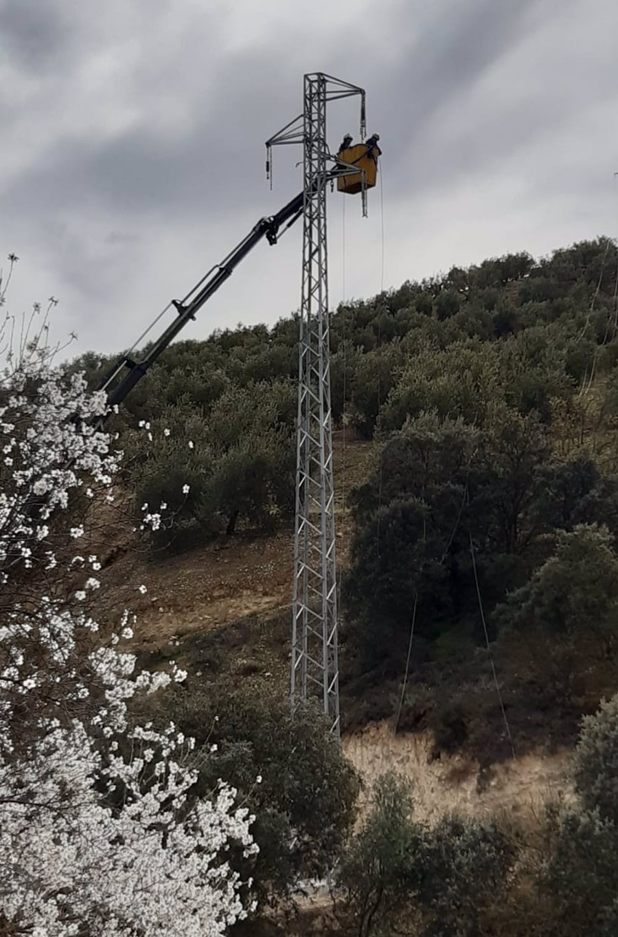 Endesa refuerza la red eléctrica de Montefrío (Granada) con una nueva línea de media tensión. (ENDESA)