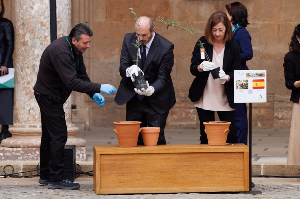 Los presidentes del Senado y del Congreso, Pedro Rollán y Francina Armengol, en el centro y en la derecha en la imagen, plantan ejemplares de olivo en el Palacio de Carlos V (ÁLEX CÁMARA/EUROPA PRESS) Los presidentes del Senado y del Congreso, Pedro Rollán y Francina Armengol, en el centro y en la derecha en la imagen, plantan ejemplares de olivo en el Palacio de Carlos V (ÁLEX CÁMARA/EUROPA PRESS)