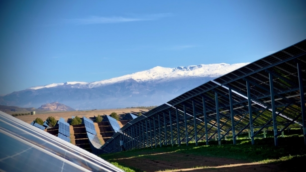 Planta fotovoltáica (CUERVA) Planta fotovoltáica (CUERVA)