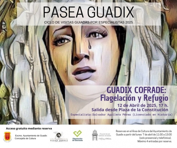 (AYUNTAMIENTO GUADIX) (AYUNTAMIENTO GUADIX)