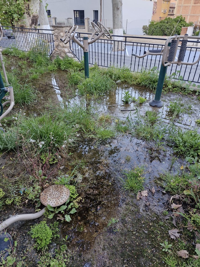 Parque inundado en Vélez Benaudalla (PP)