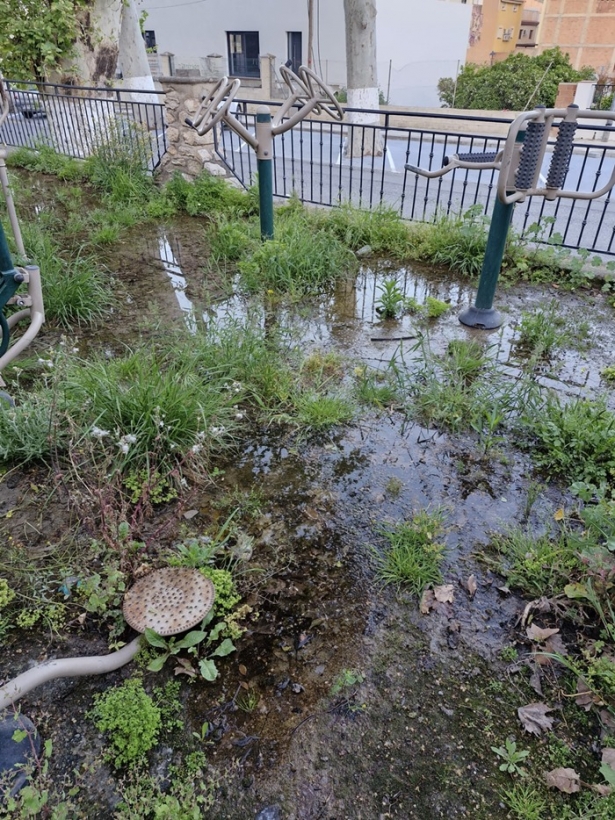 Parque inundado en Vélez Benaudalla (PP) Parque inundado en Vélez Benaudalla (PP)