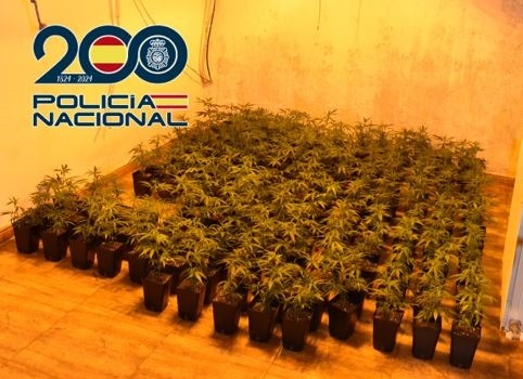 (POLICIA NACIONAL)