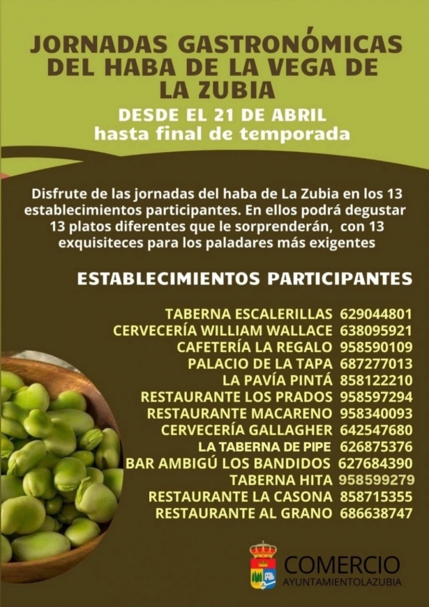 (AYUNTAMIENTO LA ZUBIA)