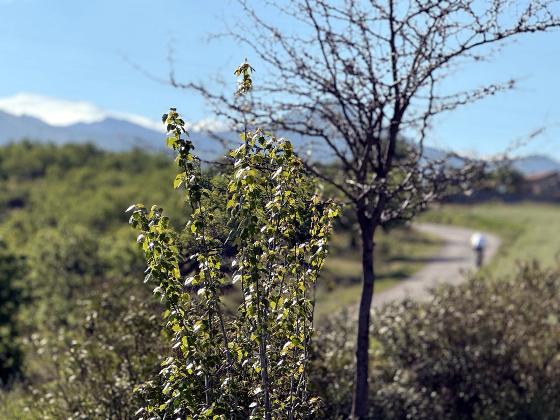 Esta iniciativa ofrecerá más de 28 kilómetros de rutas señalizadas (AYTO. GÓJAR)