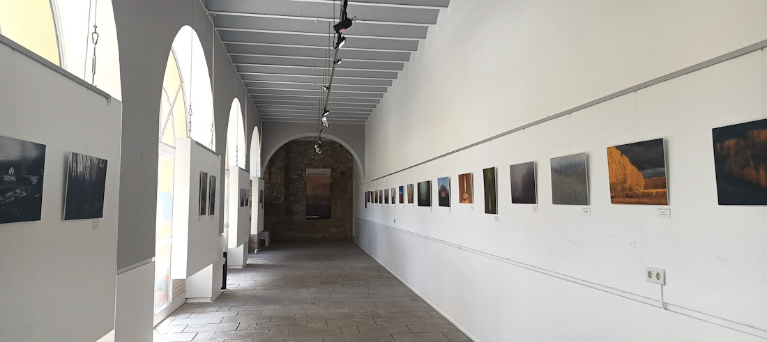 (LIFE WOOD FOR FUTURE)