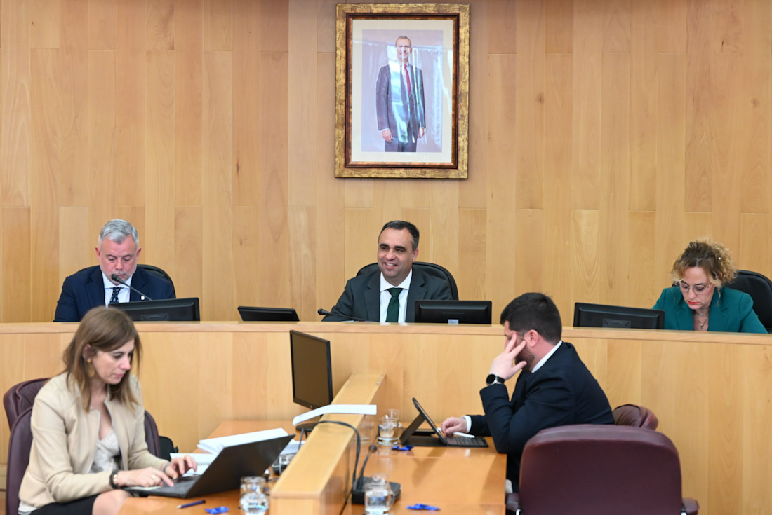 Pleno de Diputación (DIPGRA)