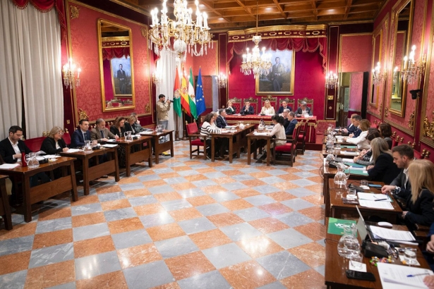 Un momeento del pleno del Ayuntamiento de Granada (ANTONIO L. JUÁREZ)