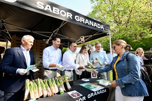 Reparto de espárrago verde (DIPGRA) Reparto de espárrago verde (DIPGRA)