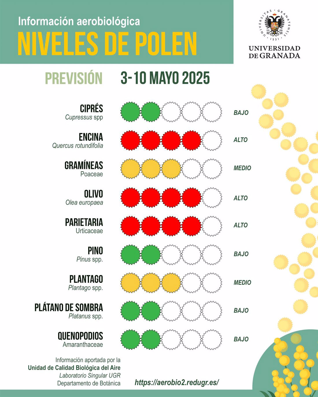 Niveles de polen entre el 3 y el 10 de mayo (UGR)